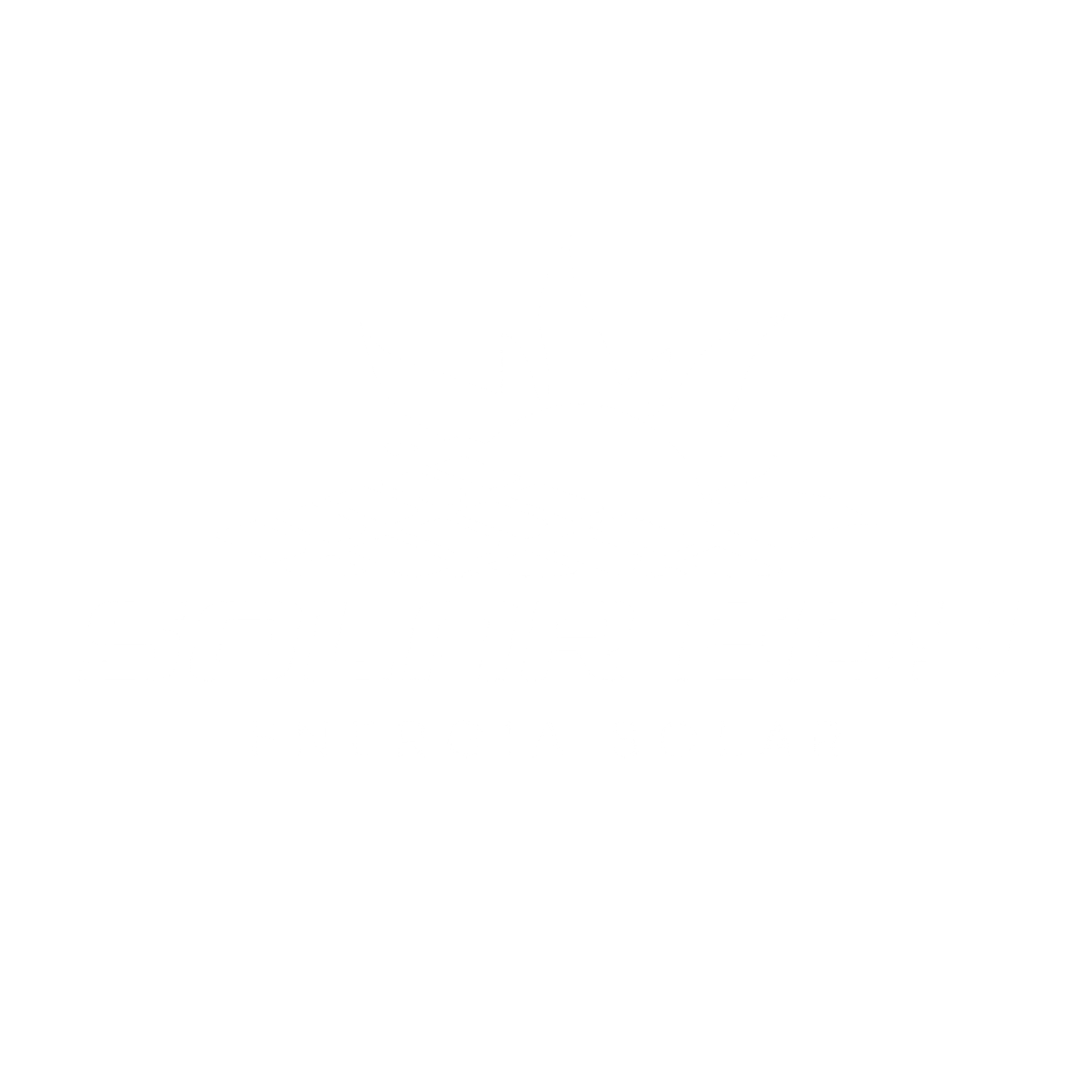 Empresa solar parceira 8